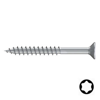 torx rvs schroef
