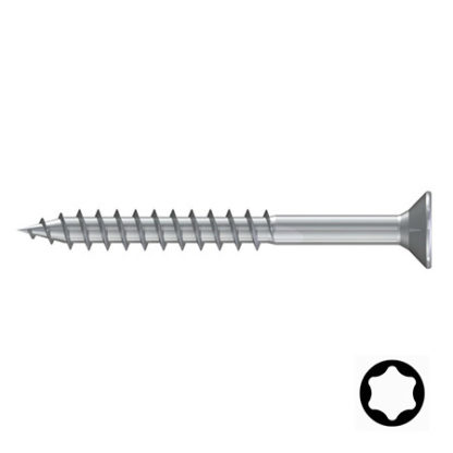 torx rvs schroef